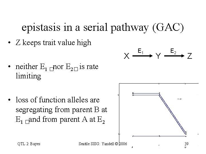 epistasis in a serial pathway (GAC) • Z keeps trait value high X E