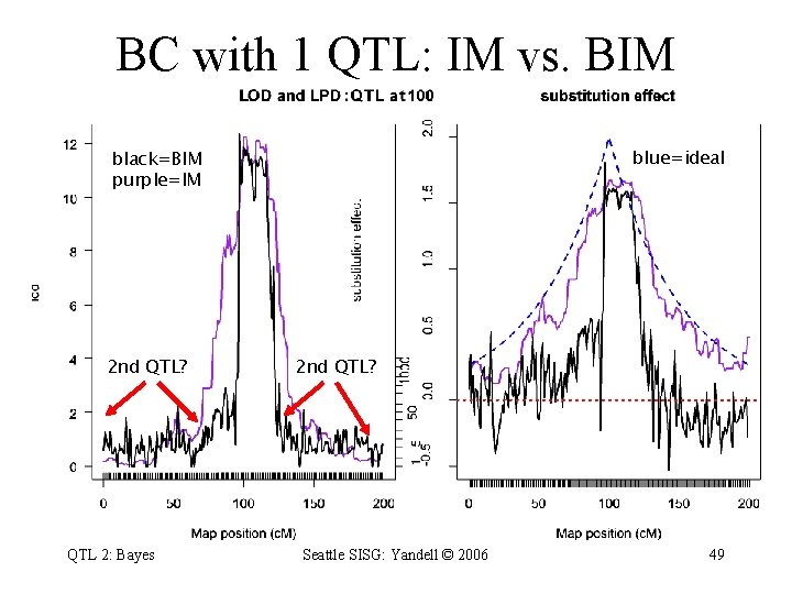 BC with 1 QTL: IM vs. BIM blue=ideal black=BIM purple=IM 2 nd QTL? QTL