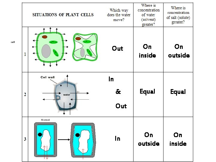 cell Out On inside On outside Equal On outside On inside In & Out