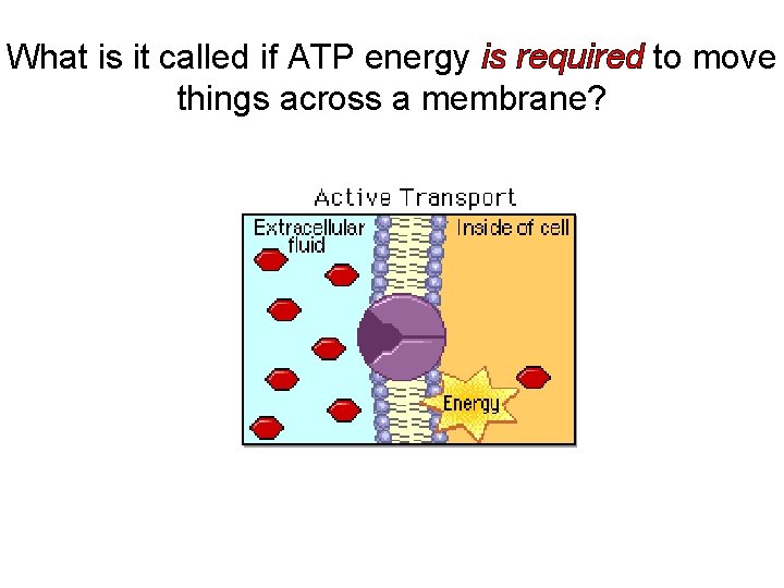 What is it called if ATP energy is required to move things across a