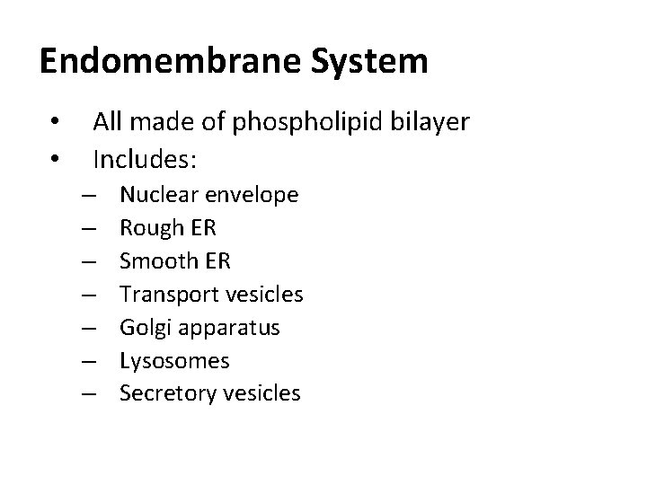 Endomembrane System • • All made of phospholipid bilayer Includes: – – – –