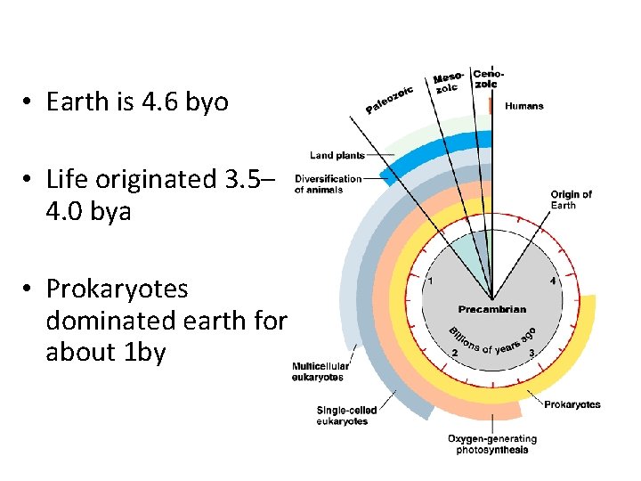  • Earth is 4. 6 byo • Life originated 3. 5– 4. 0