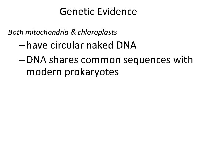 Genetic Evidence Both mitochondria & chloroplasts – have circular naked DNA – DNA shares