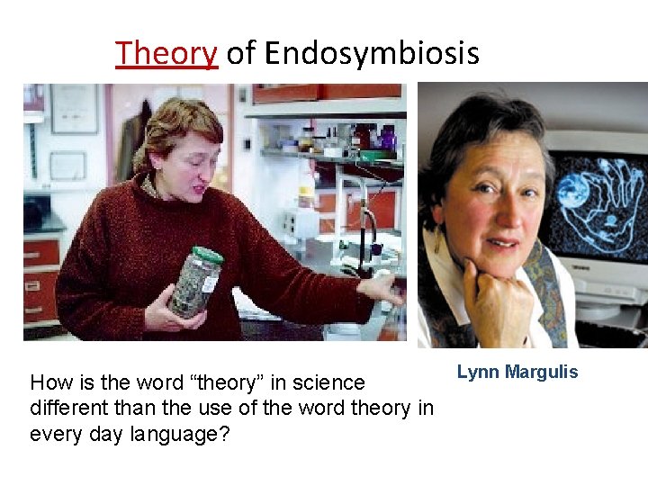 Theory of Endosymbiosis How is the word “theory” in science different than the use