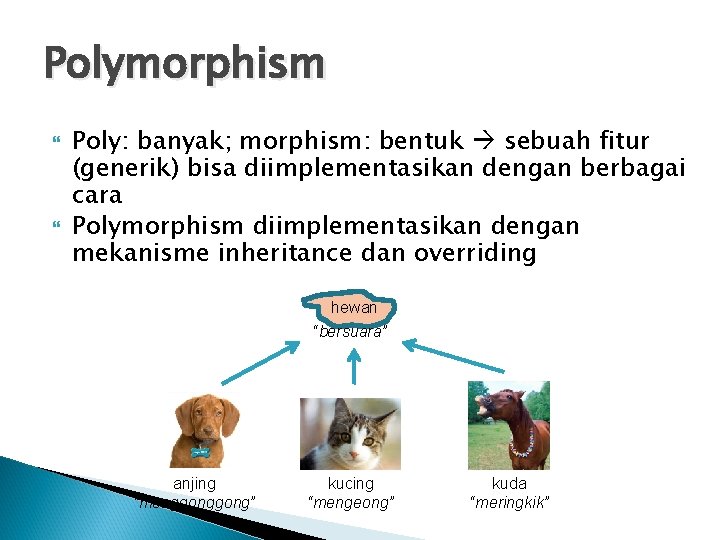 Polymorphism Poly: banyak; morphism: bentuk sebuah fitur (generik) bisa diimplementasikan dengan berbagai cara Polymorphism