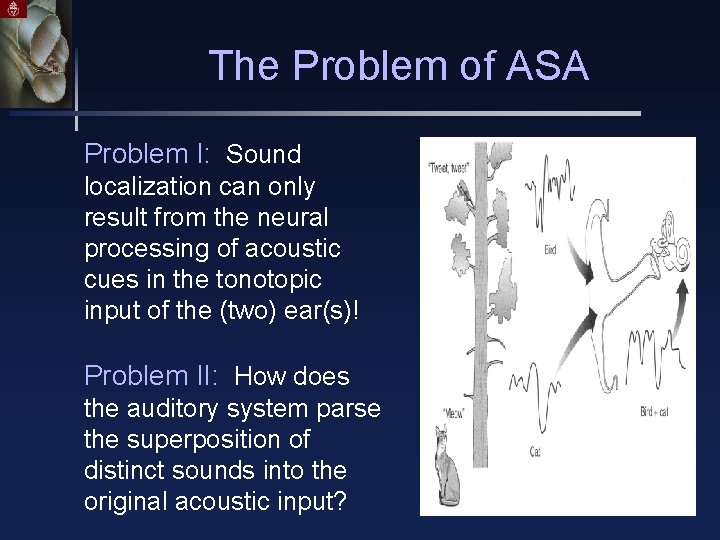 The Problem of ASA Problem I: Sound localization can only result from the neural
