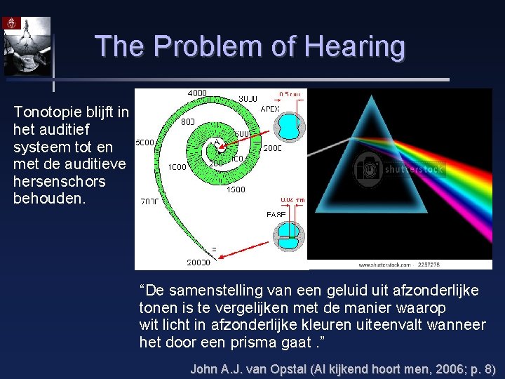 The Problem of Hearing Tonotopie blijft in het auditief systeem tot en met de