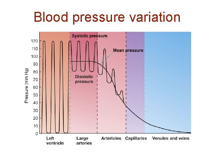 Blood pressure variation 