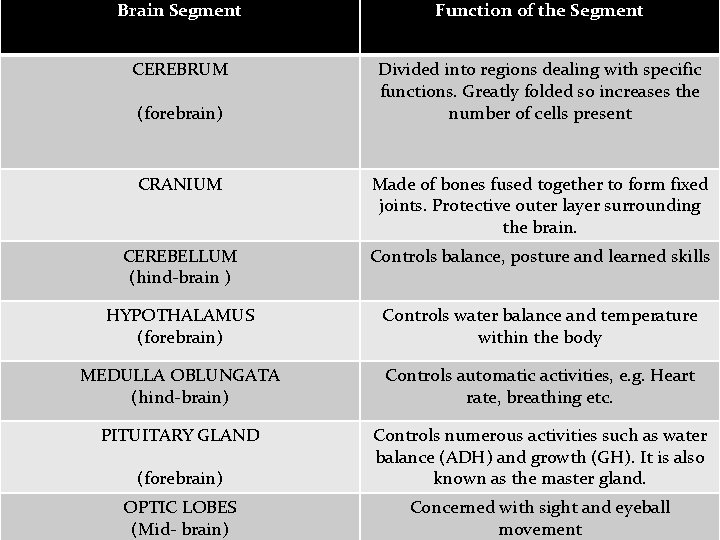 : Brain Segment Function of the Segment CEREBRUM Divided into regions dealing with specific