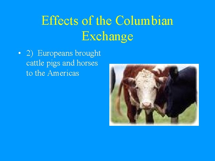 Effects of the Columbian Exchange • 2) Europeans brought cattle pigs and horses to Effects of the Columbian Exchange • 2) Europeans brought cattle pigs and horses to