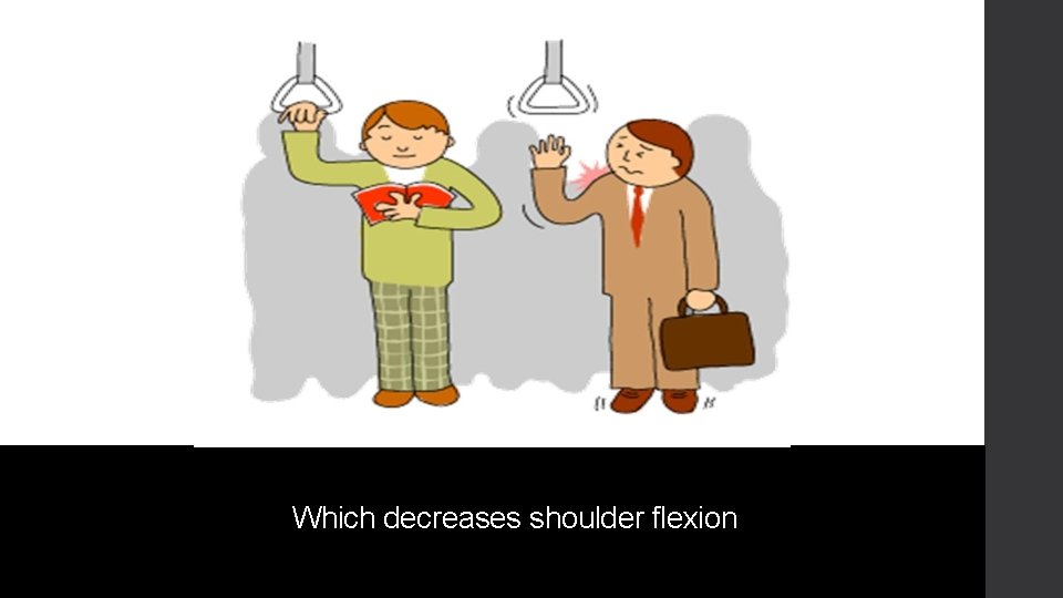 Which decreases shoulder flexion 