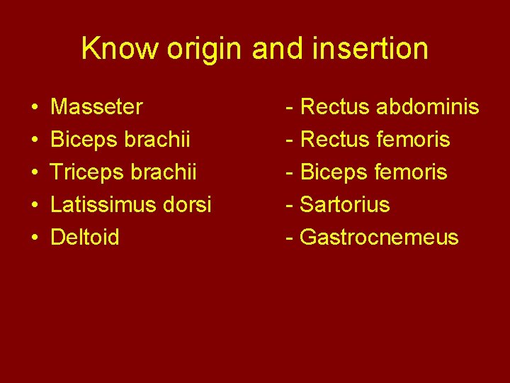 Know origin and insertion • • • Masseter Biceps brachii Triceps brachii Latissimus dorsi
