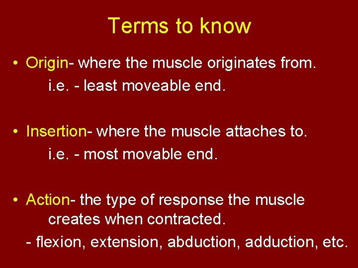 Terms to know • Origin- where the muscle originates from. i. e. - least