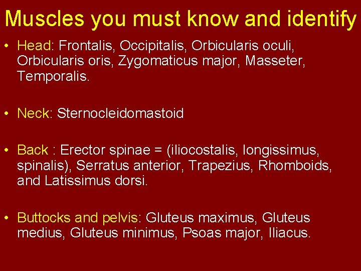 Muscles you must know and identify • Head: Frontalis, Occipitalis, Orbicularis oculi, Orbicularis oris,