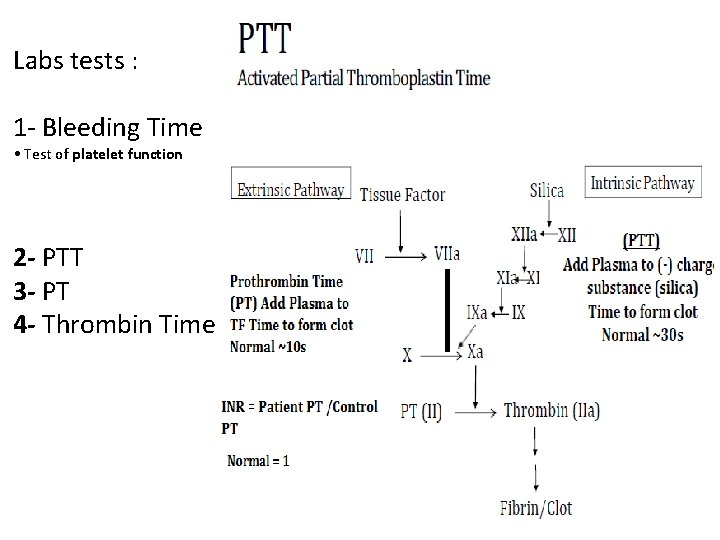 Labs tests : 1 - Bleeding Time • Test of platelet function 2 -