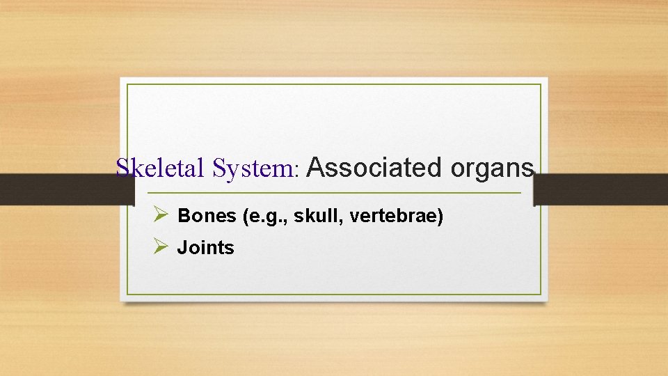 Skeletal System: Associated organs Ø Bones (e. g. , skull, vertebrae) Ø Joints 