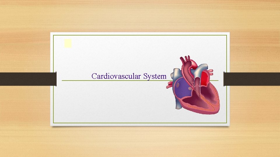 Cardiovascular System 