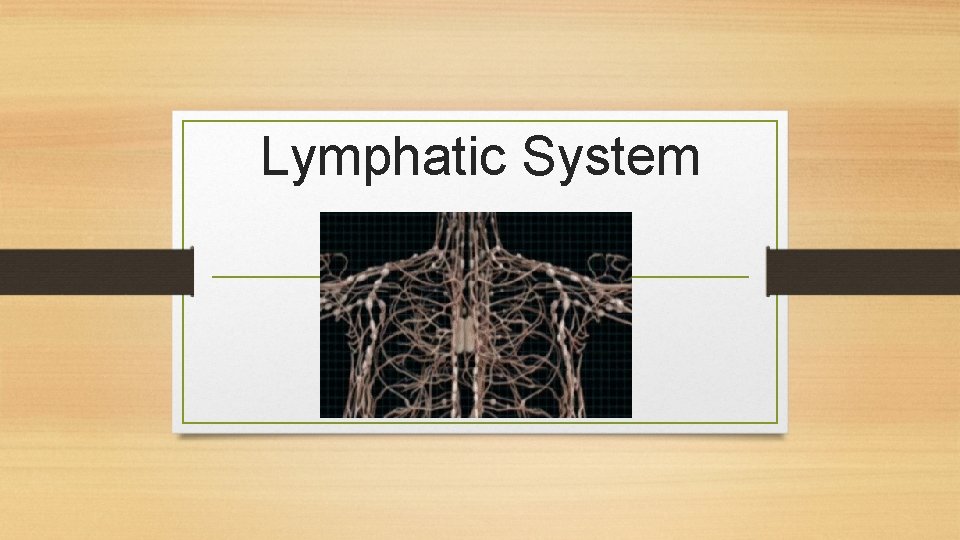 Lymphatic System 