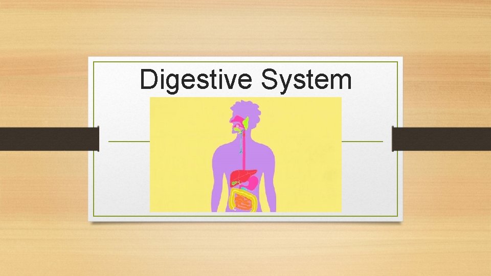 Digestive System 