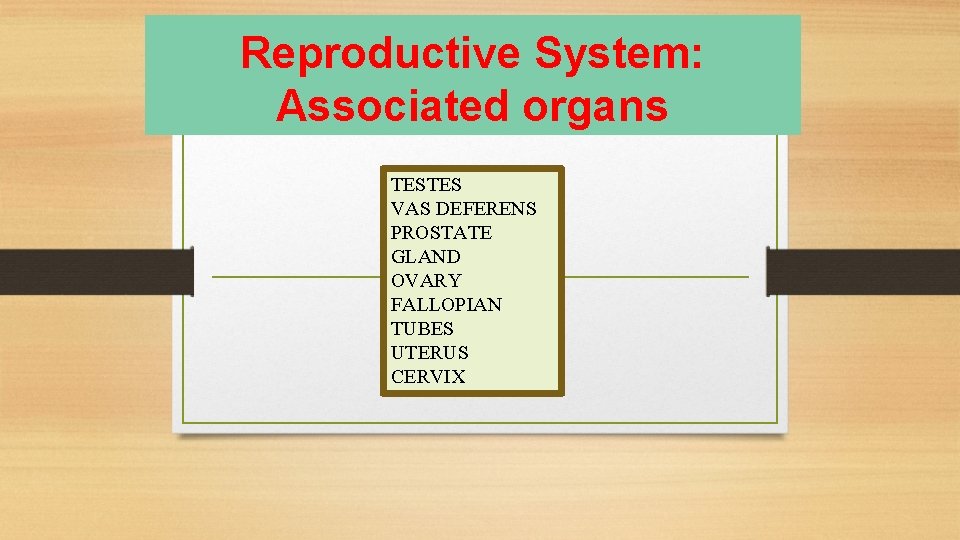 Reproductive System: Associated organs TESTES VAS DEFERENS PROSTATE GLAND OVARY FALLOPIAN TUBES UTERUS CERVIX