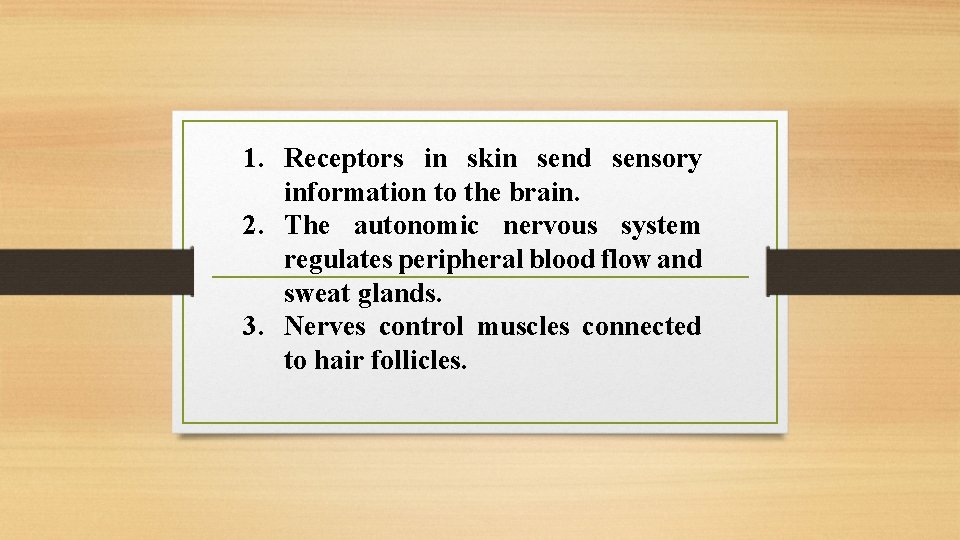 1. Receptors in skin send sensory information to the brain. 2. The autonomic nervous