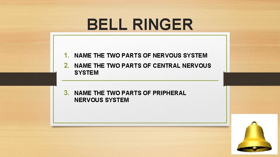 BELL RINGER 1. NAME THE TWO PARTS OF NERVOUS SYSTEM 2. NAME THE TWO