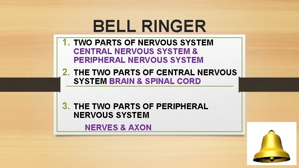 BELL RINGER 1. TWO PARTS OF NERVOUS SYSTEM CENTRAL NERVOUS SYSTEM & PERIPHERAL NERVOUS