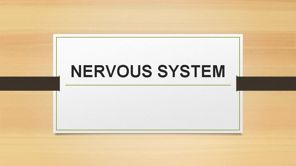 NERVOUS SYSTEM 