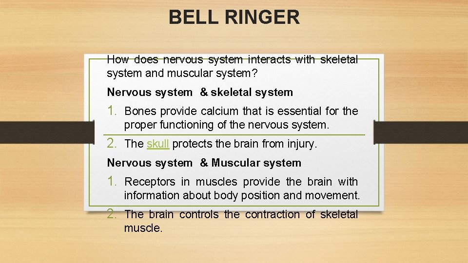 BELL RINGER How does nervous system interacts with skeletal system and muscular system? Nervous