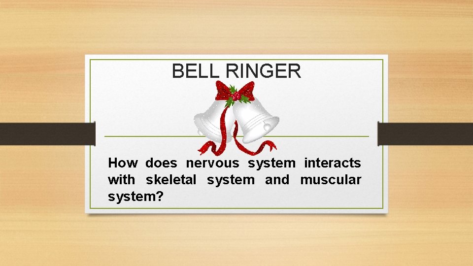BELL RINGER How does nervous system interacts with skeletal system and muscular system? 