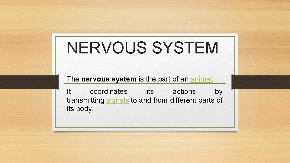 NERVOUS SYSTEM The nervous system is the part of an animal. It coordinates its