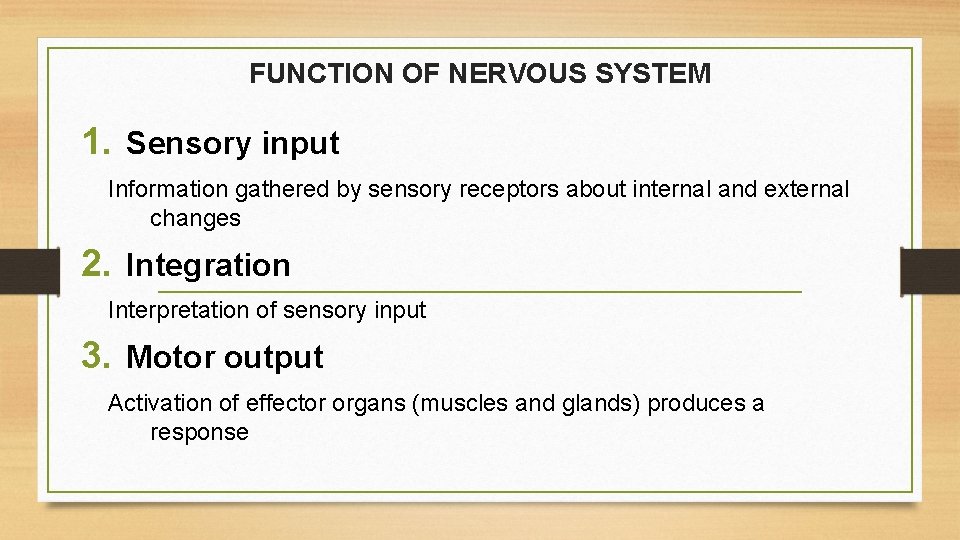 FUNCTION OF NERVOUS SYSTEM 1. Sensory input Information gathered by sensory receptors about internal