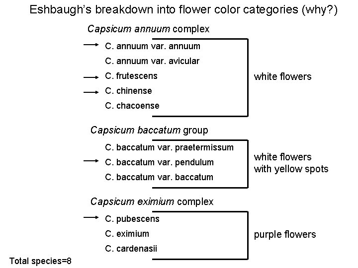 Eshbaugh’s breakdown into flower color categories (why? ) Capsicum annuum complex C. annuum var.