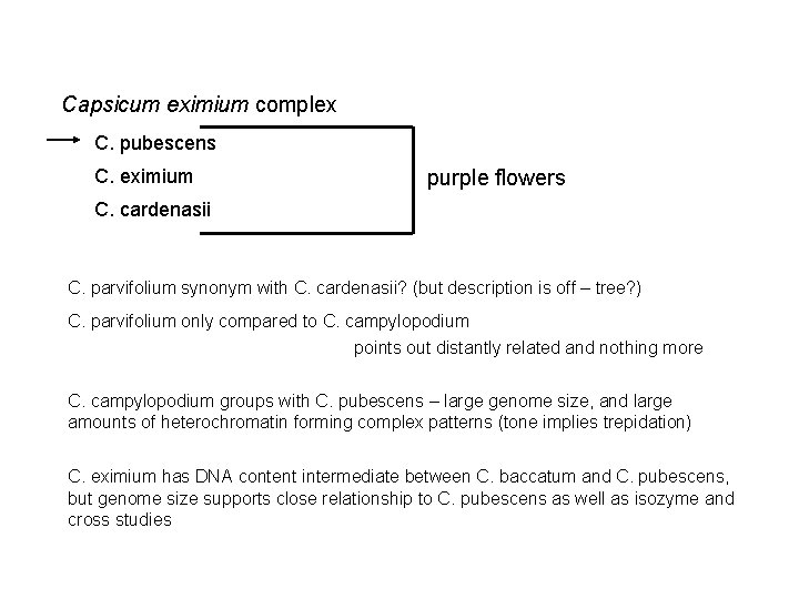Capsicum eximium complex C. pubescens C. eximium purple flowers C. cardenasii C. parvifolium synonym