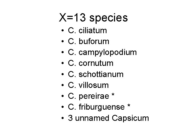 X=13 species • • • C. ciliatum C. buforum C. campylopodium C. cornutum C.