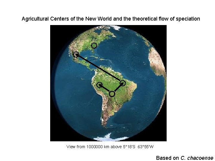 Agricultural Centers of the New World and theoretical flow of speciation View from 1000000
