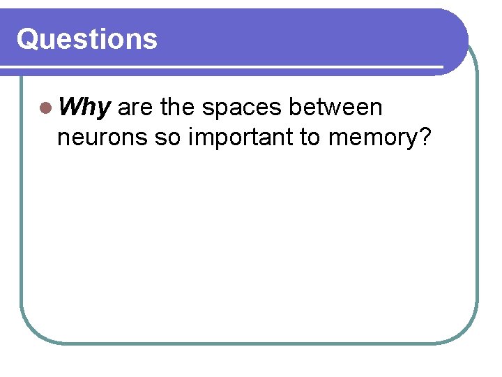 Questions l Why are the spaces between neurons so important to memory? Questions l Why are the spaces between neurons so important to memory?