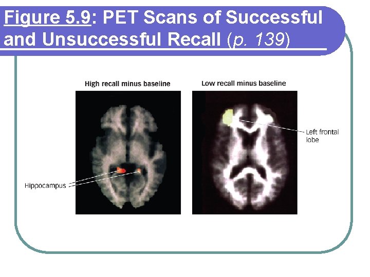 Figure 5. 9: PET Scans of Successful and Unsuccessful Recall (p. 139) Figure 5. 9: PET Scans of Successful and Unsuccessful Recall (p. 139)