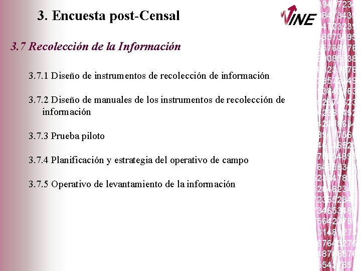 3. Encuesta post-Censal 3. 7 Recolección de la Información 3. 7. 1 Diseño de