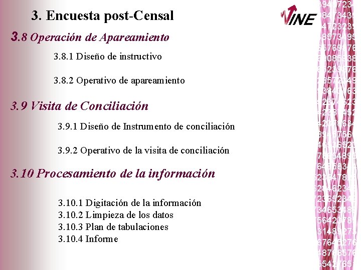 3. Encuesta post-Censal 3. 8 Operación de Apareamiento 3. 8. 1 Diseño de instructivo