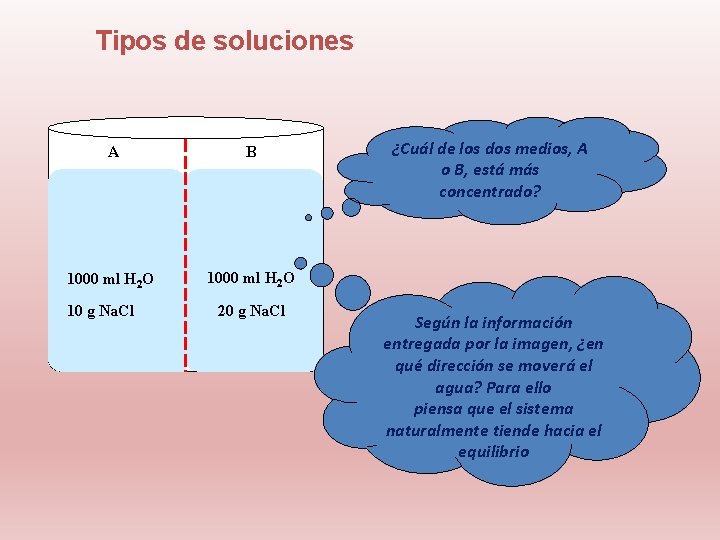 Tipos de soluciones A B 1000 ml H 2 O 10 g Na. Cl