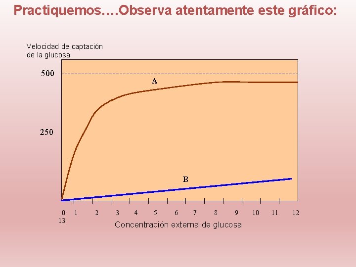 Practiquemos…. Observa atentamente este gráfico: Velocidad de captación de la glucosa 500 A 250