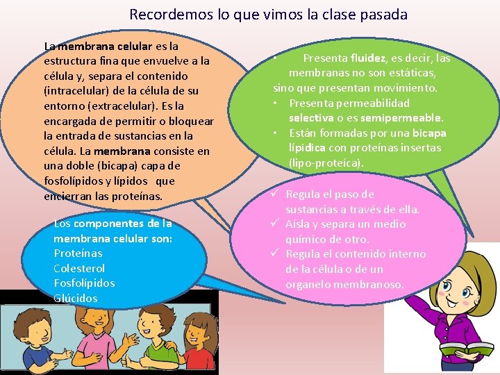 Recordemos lo que vimos la clase pasada La membrana celular es la estructura fina