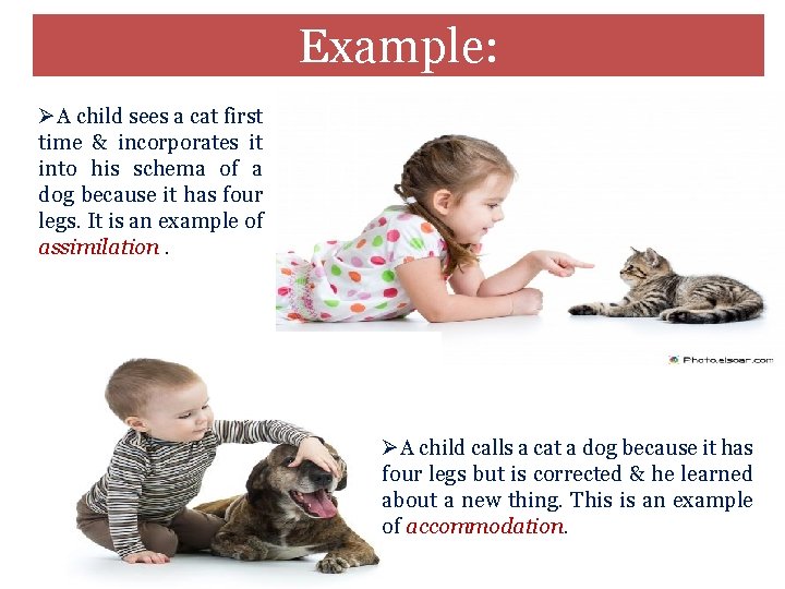 Example: ØA child sees a cat first time & incorporates it into his schema