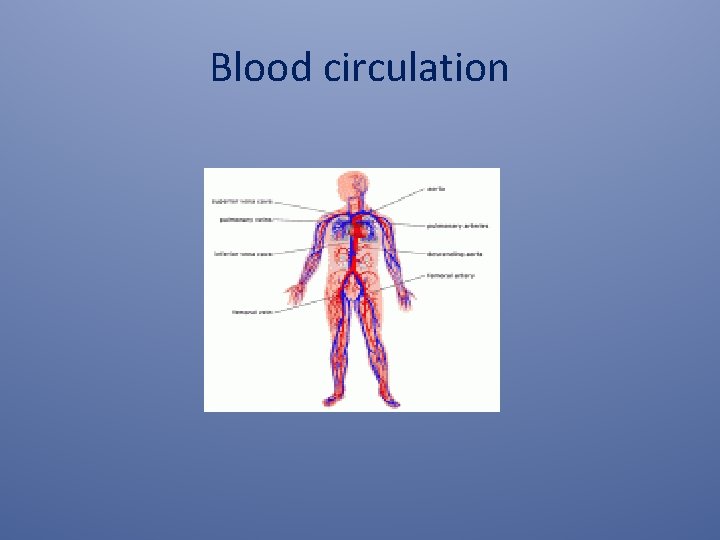 Blood circulation 