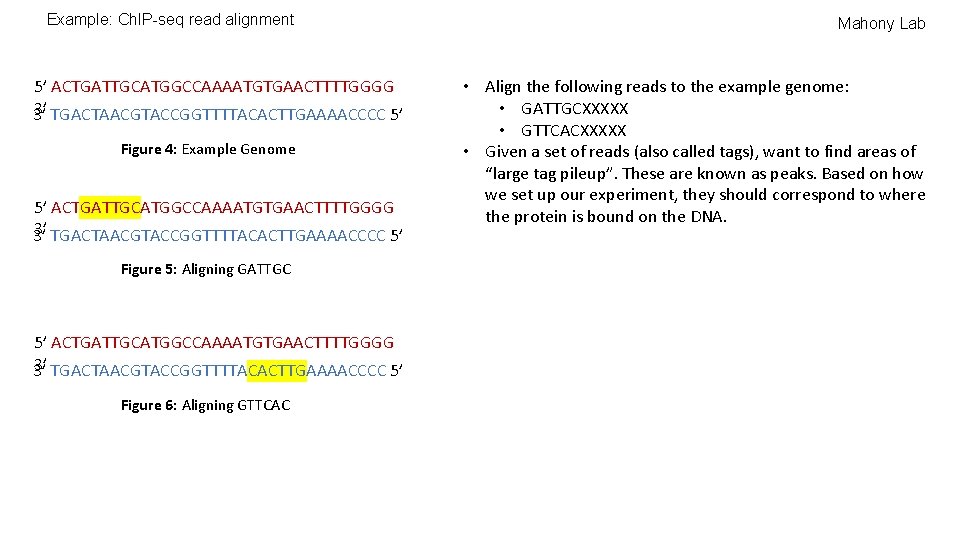 Example: Ch. IP-seq read alignment 5’ ACTGATTGCATGGCCAAAATGTGAACTTTTGGGG 3’ TGACTAACGTACCGGTTTTACACTTGAAAACCCC 5’ 3’ Figure 4: Example