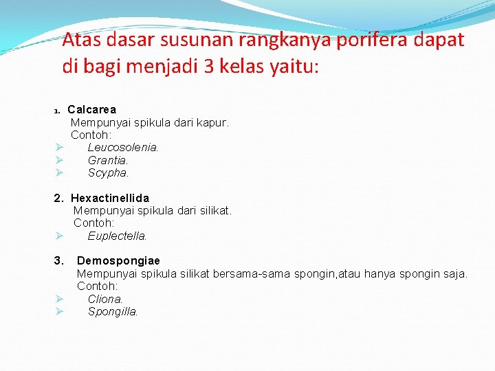 Atas dasar susunan rangkanya porifera dapat di bagi menjadi 3 kelas yaitu: 1. Calcarea