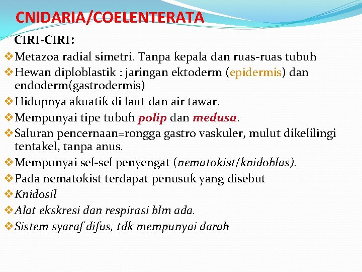 CNIDARIA/COELENTERATA CIRI-CIRI: v Metazoa radial simetri. Tanpa kepala dan ruas-ruas tubuh v Hewan diploblastik