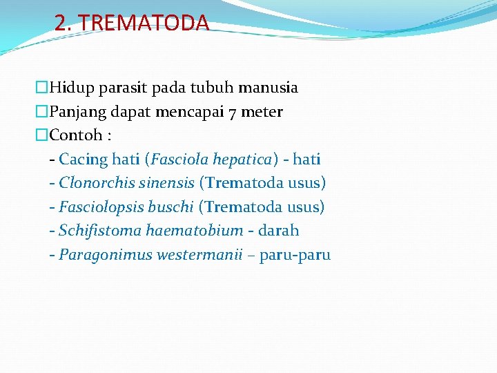 2. TREMATODA �Hidup parasit pada tubuh manusia �Panjang dapat mencapai 7 meter �Contoh :