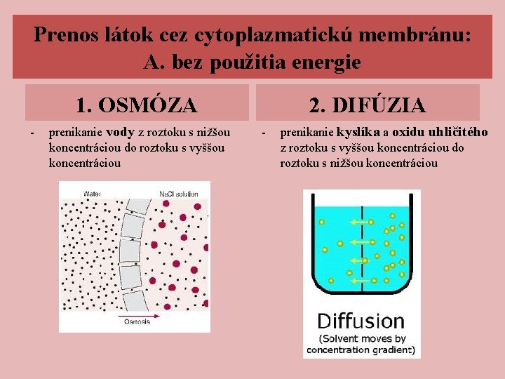 Prenos látok cez cytoplazmatickú membránu: A. bez použitia energie 1. OSMÓZA - prenikanie vody